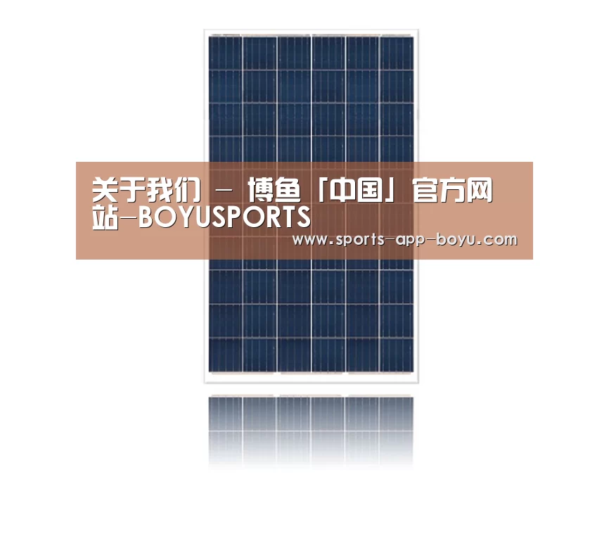 产品名称三