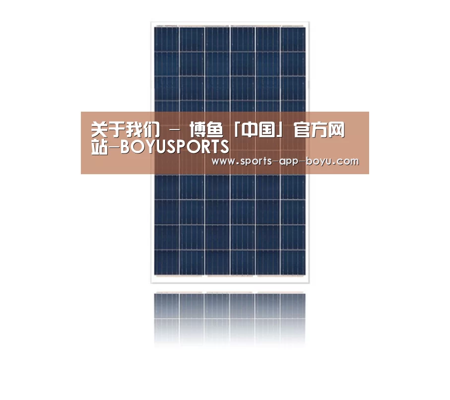 产品名称一