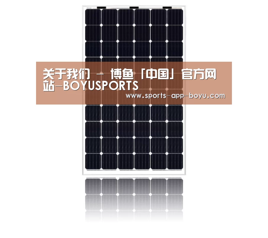 产品名称五