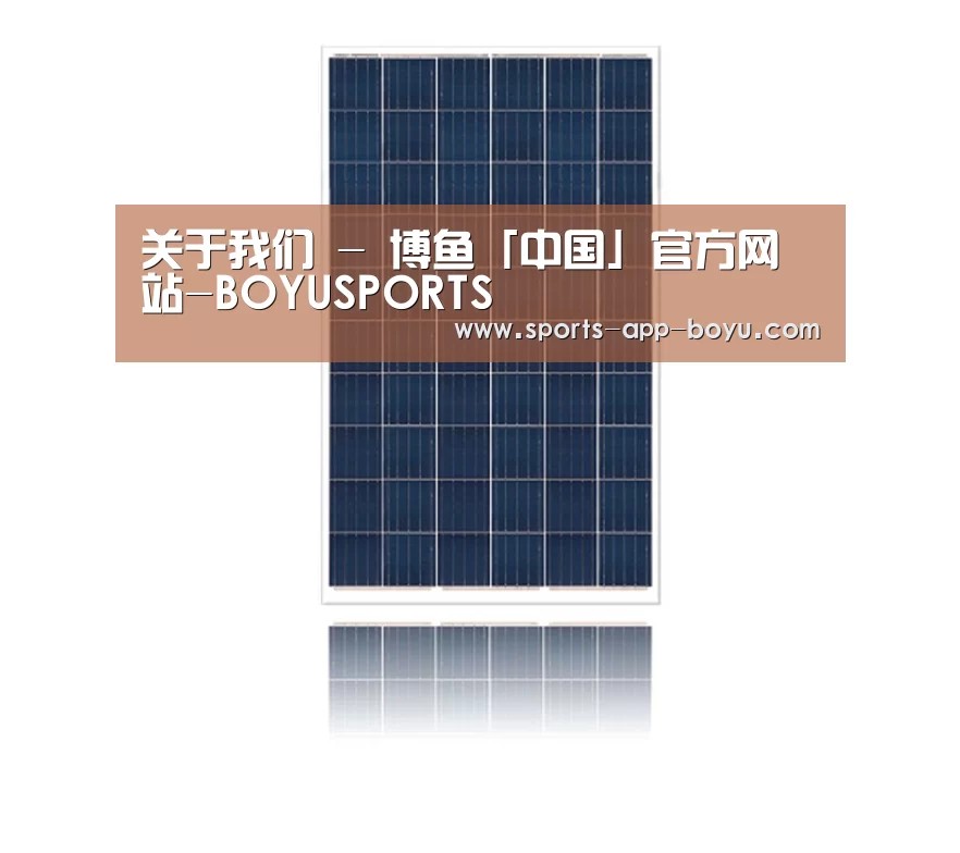产品名称一