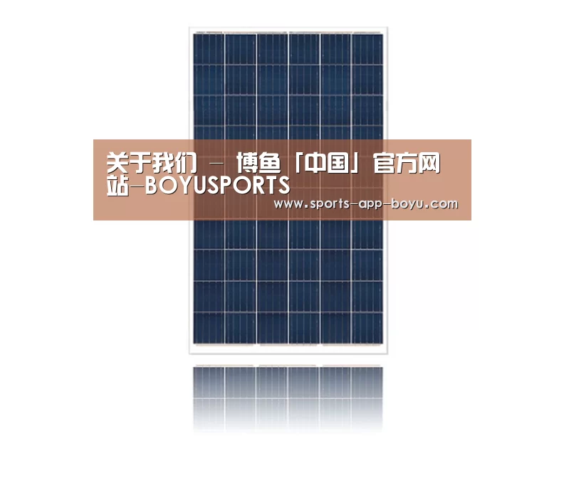 产品名称四