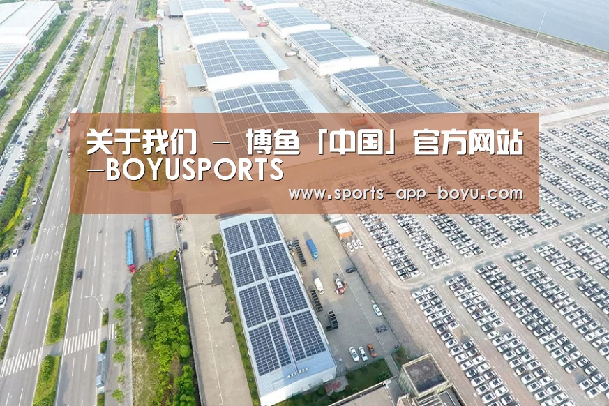 案例展示四