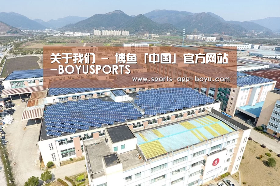 案例展示三