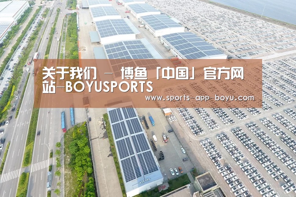 案例展示二