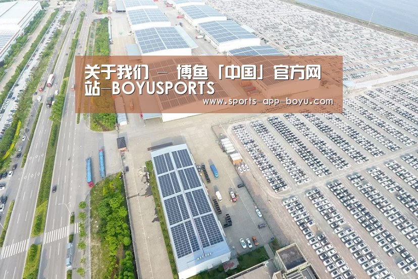 案例展示三