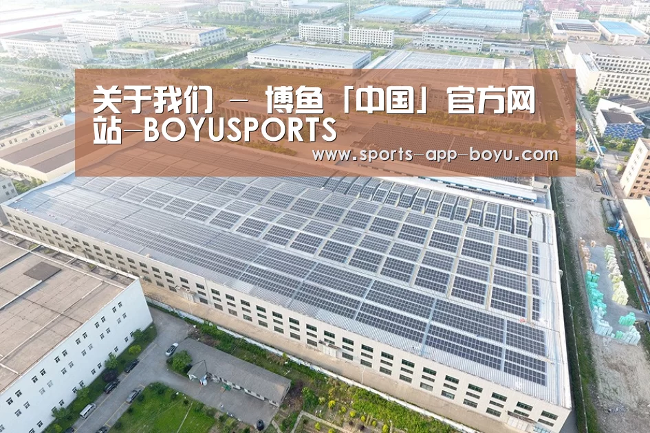 案例展示四