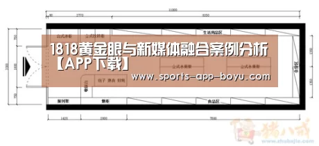 APP下载