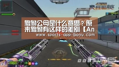 APP下载
