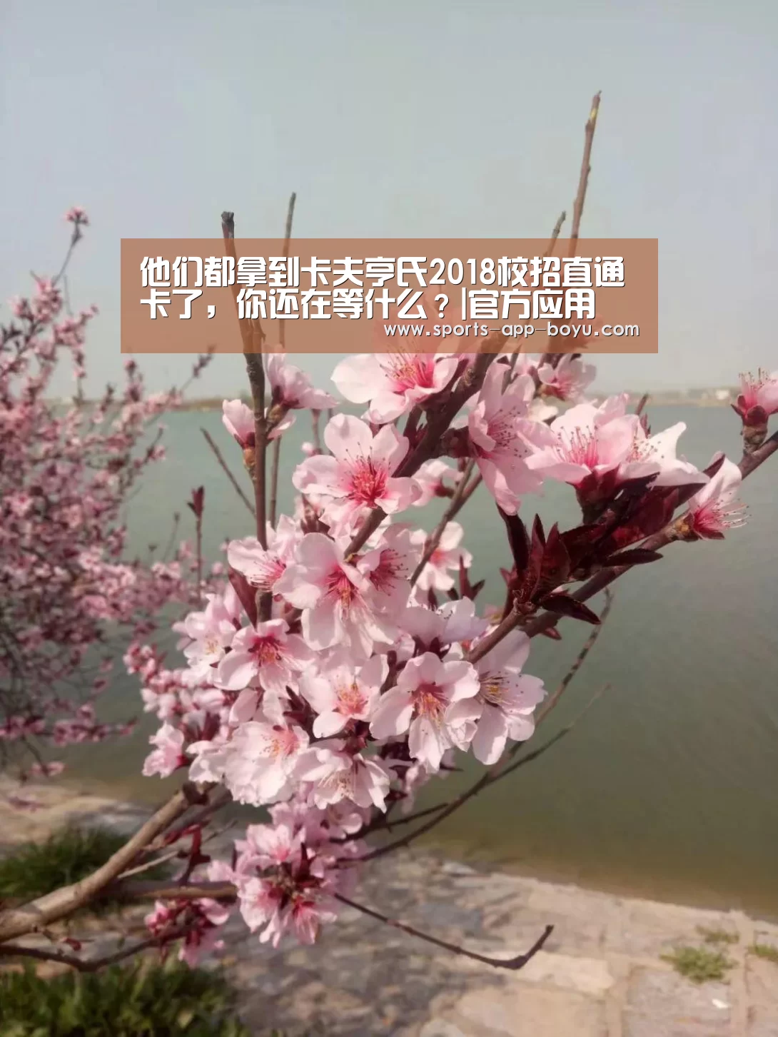 他们都拿到卡夫亨氏2018校招直通卡了,你还在等什么?|官方应用(图1) 博鱼体育APP