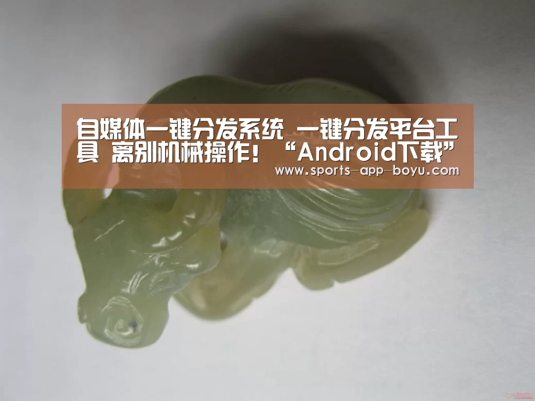 APP下载